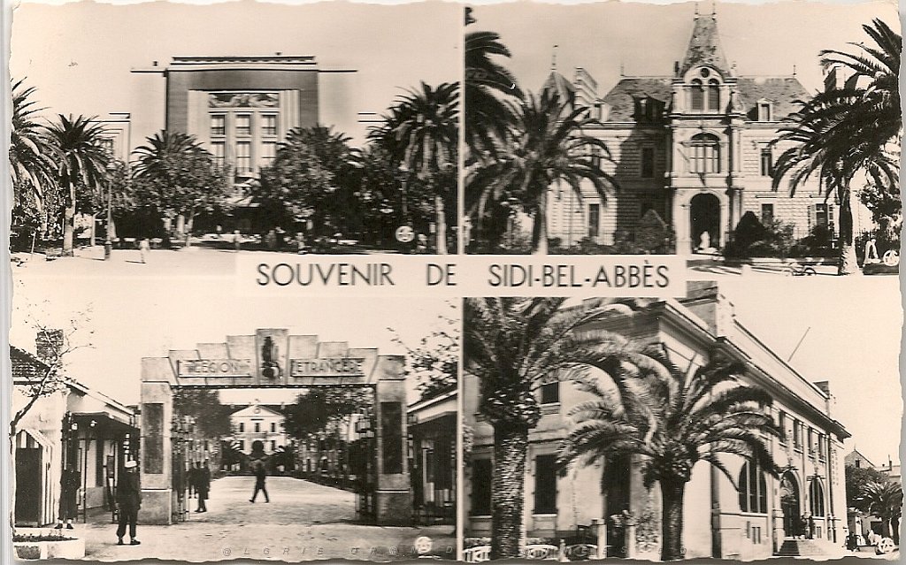 sidi bel abbes carte souvenir .jpg